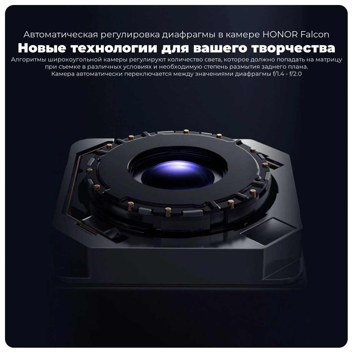 Honor-Magic6-Pro-10