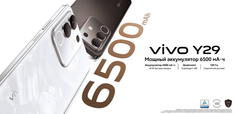 Vivo-Y29-01